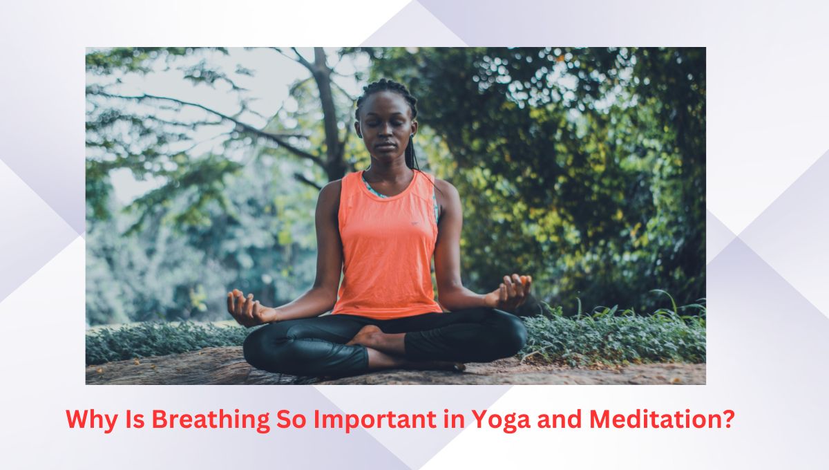 Why Is Breathing So Important in Yoga and Meditation?